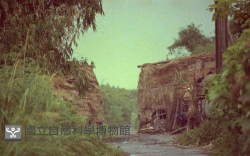 1950至2006年臺灣常民生活藏品圖，第1張
