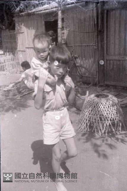 1950至2006年臺灣常民生活藏品圖，第1張