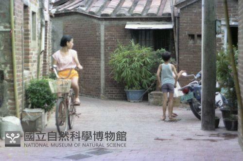 1950至2006年臺灣常民生活藏品圖，第1張