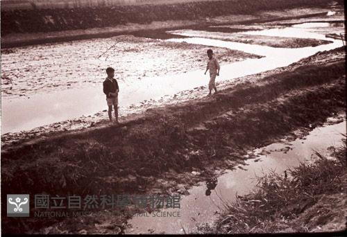 1950至2006年臺灣常民生活藏品圖，第1張