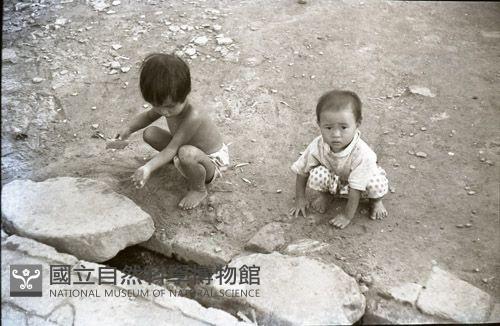 1950至2006年臺灣常民生活藏品圖，第1張