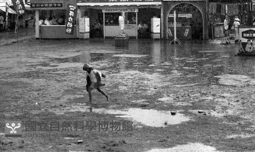 1950至2006年臺灣常民生活藏品圖，第1張