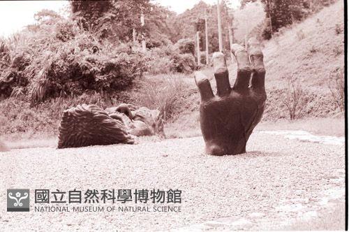 1950至2006年臺灣常民生活藏品圖，第1張
