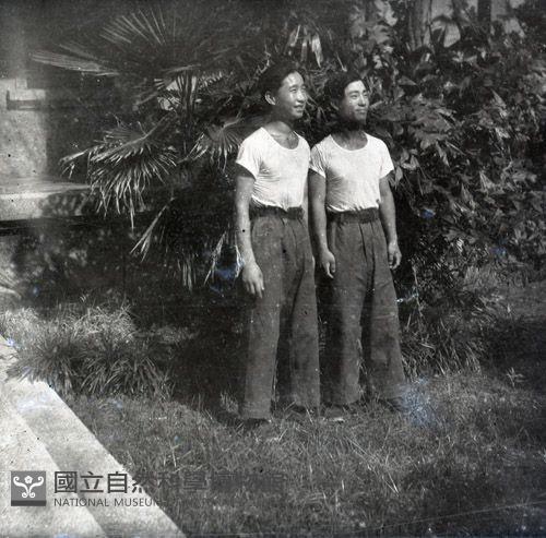1950至2006年臺灣常民生活藏品圖，第1張