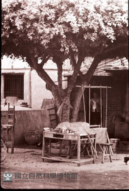 1950至2006年臺灣常民生活藏品圖，第1張