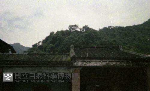 1950至2006年臺灣常民生活藏品圖，第1張