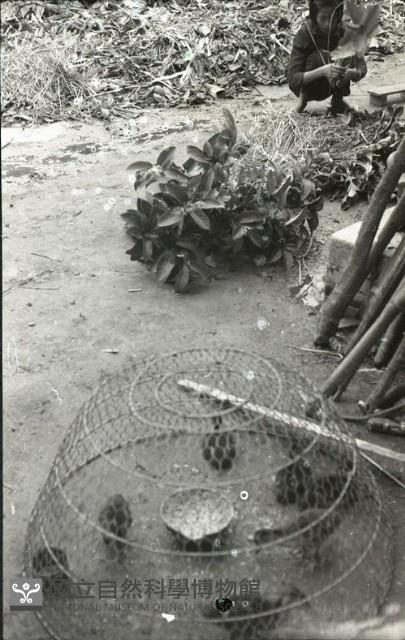 1950至2006年臺灣常民生活藏品圖，第1張