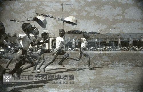 1950至2006年台灣常民生活藏品圖，第1張