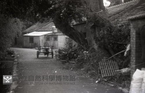 1950至2006年臺灣常民生活藏品圖，第1張