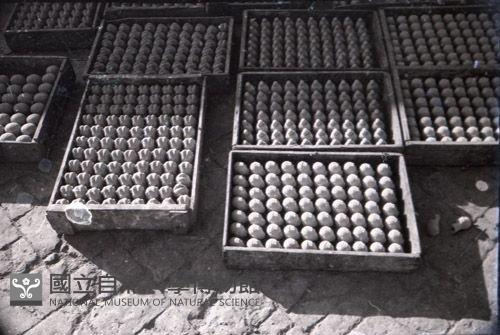 1950至2006年臺灣常民生活藏品圖，第1張