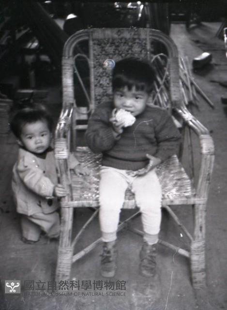 1950至2006年臺灣常民生活藏品圖，第1張