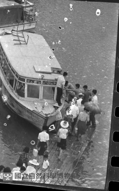 1950至2006年臺灣常民生活藏品圖，第1張