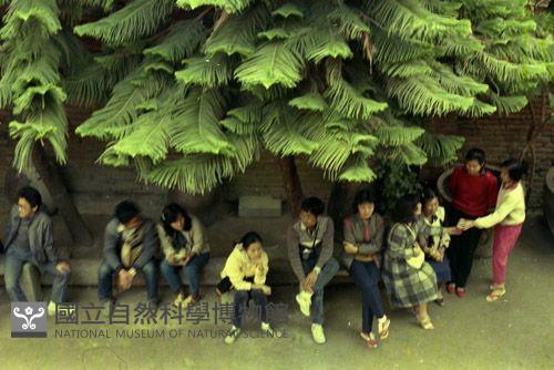1950至2006年臺灣常民生活藏品圖，第1張