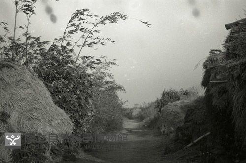 1950至2006年台灣常民生活藏品圖，第1張