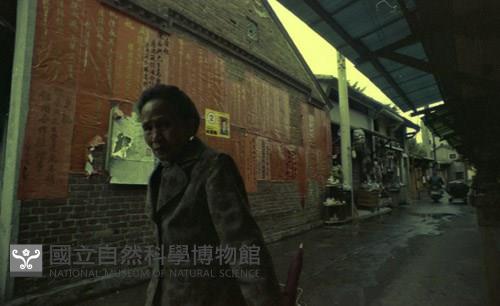 1950至2006年臺灣常民生活藏品圖，第1張