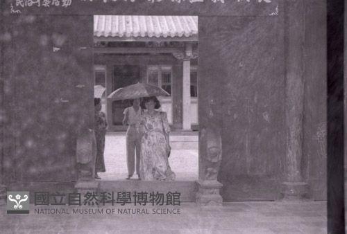 1950至2006年臺灣常民生活藏品圖，第1張