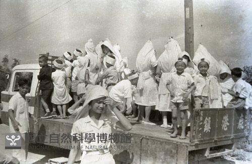 1950至2006年臺灣常民生活藏品圖，第1張