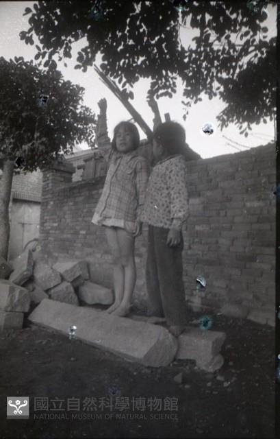 1950至2006年臺灣常民生活藏品圖，第1張