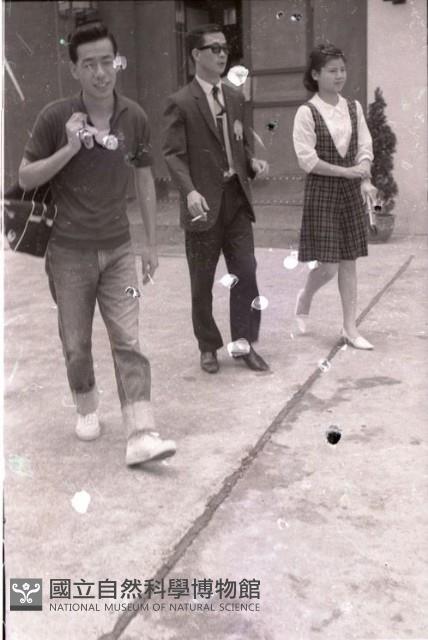 1950至2006年臺灣常民生活藏品圖，第1張