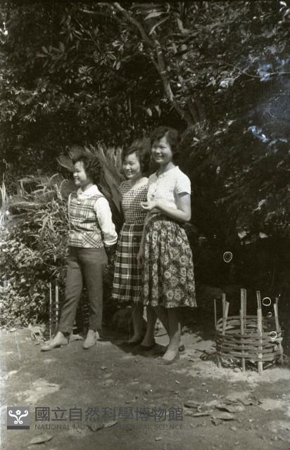 1950至2006年臺灣常民生活藏品圖，第1張