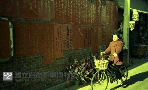 1950至2006年臺灣常民生活藏品圖，第1張