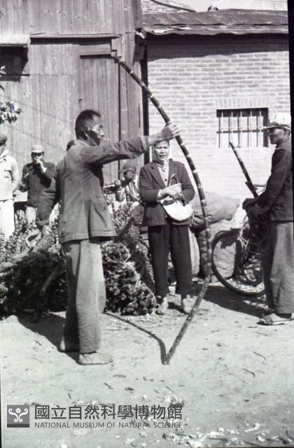 1950至2006年臺灣常民生活藏品圖，第1張