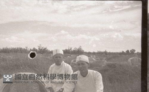 1950至2006年臺灣常民生活藏品圖，第1張