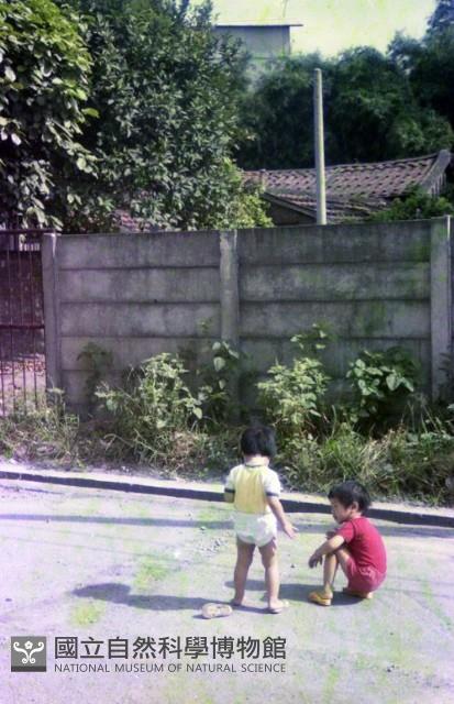 1950至2006年臺灣常民生活藏品圖，第1張