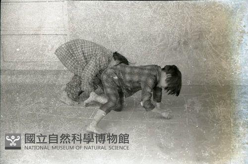 1950至2006年臺灣常民生活藏品圖，第1張