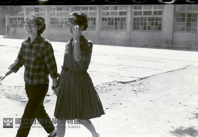 1950至2006年臺灣常民生活藏品圖，第1張