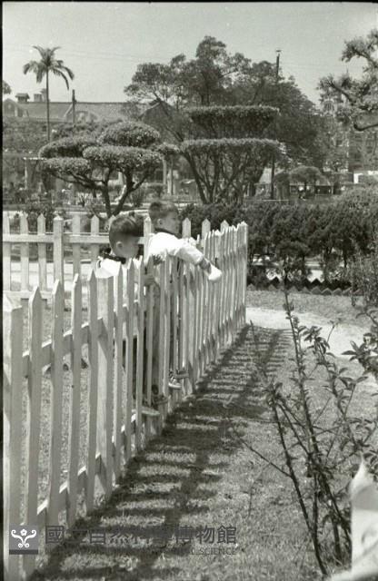 1950至2006年臺灣常民生活藏品圖，第1張