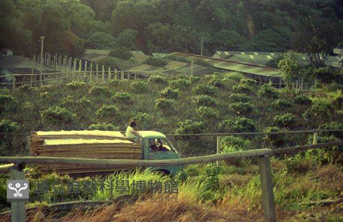1950至2006年臺灣常民生活藏品圖，第1張