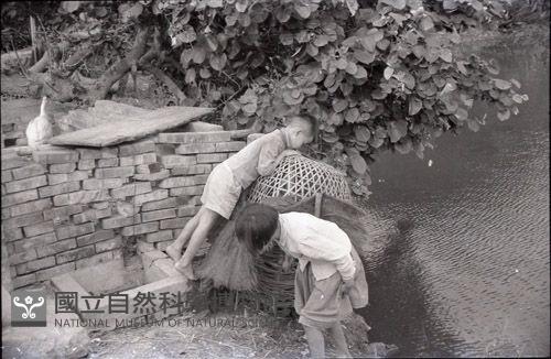1950至2006年臺灣常民生活藏品圖，第1張