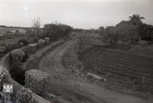1950至2006年臺灣常民生活藏品圖，第1張
