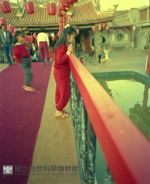 1950至2006年臺灣常民生活藏品圖，第1張