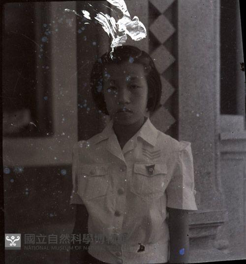 1950至2006年臺灣常民生活藏品圖，第1張