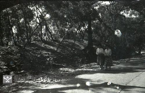 1950至2006年台灣常民生活藏品圖，第1張