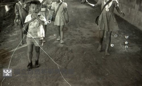 1950至2006年臺灣常民生活 藏品圖，第1張