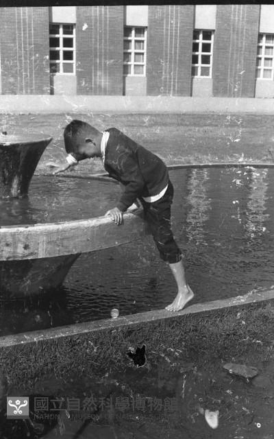 1950至2006年臺灣常民生活藏品圖，第1張