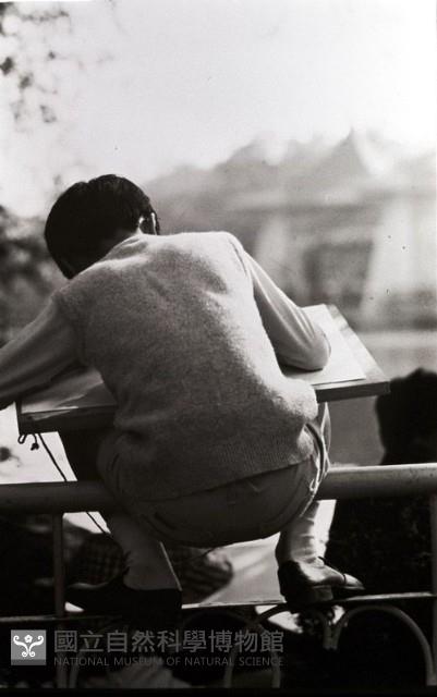 1950至2006年臺灣常民生活藏品圖，第1張