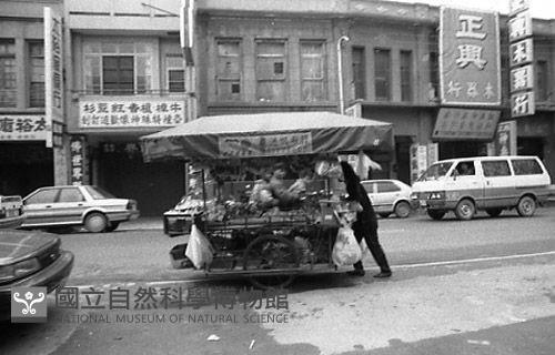 1950至2006年臺灣常民生活藏品圖，第1張