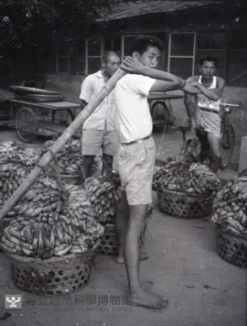 1950至2006年臺灣常民生活藏品圖，第1張