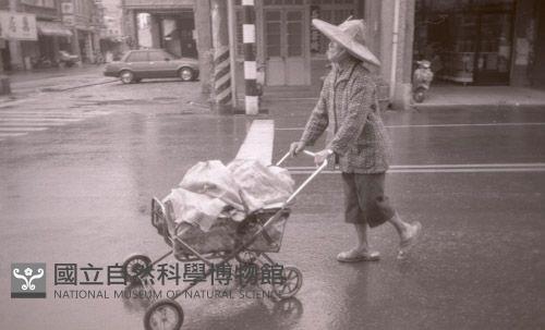 1950至2006年臺灣常民生活藏品圖，第1張