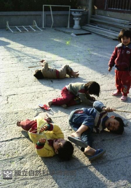 1950至2006年臺灣常民生活藏品圖，第1張