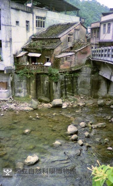 1950至2006年臺灣常民生活藏品圖，第1張