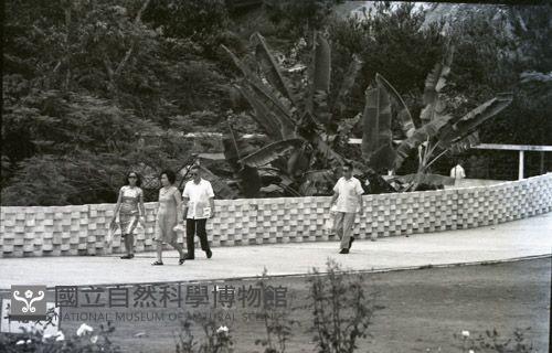 1950至2006年臺灣常民生活藏品圖，第1張