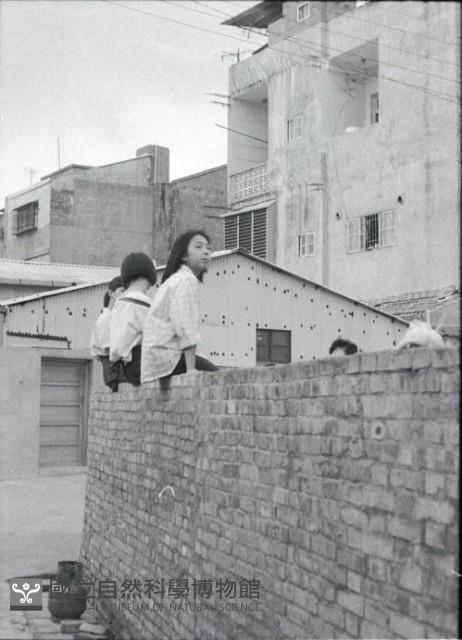 1950至2006年臺灣常民生活藏品圖，第1張