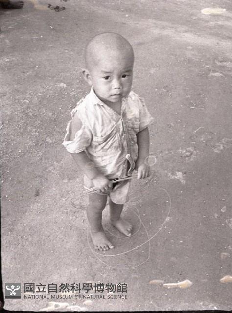 1950至2006年臺灣常民生活藏品圖，第1張