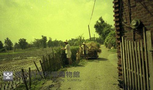 1950至2006年臺灣常民生活藏品圖，第1張