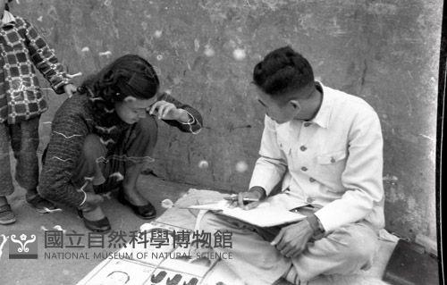 1950至2006年臺灣常民生活藏品圖，第1張